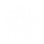 A digital drawing of white dots shape into a spiral circle